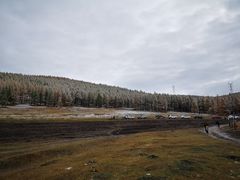 -塞罕坝国家级自然保护区