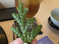 -家贺屋刺身寿司专门店