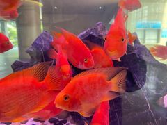 -江苏省人民医院(广州路院区)