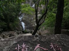 -海南霸王岭国家森林公园