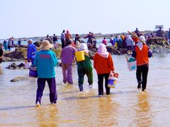 -日照灯塔风景区