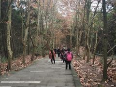 -窦圌山风景区
