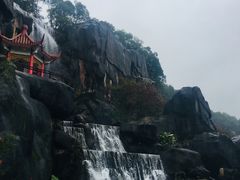 -金鸡山公园