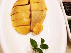 白斩鸡-顺风海鲜港(金玉兰店)