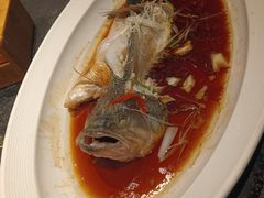-悦百味·品质川菜(橄榄郡店)