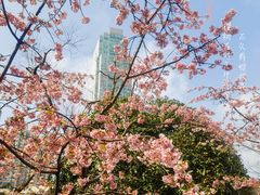 -静安雕塑公园