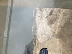 -北京乐谷