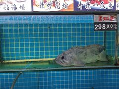 -兆辉木炭海鲜烧烤·海鲜小炒