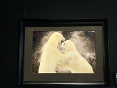 -罗红摄影艺术馆