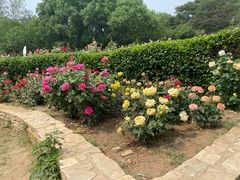 -国家植物园南园