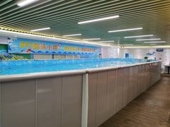 -水贝乐国际水育儿童游泳中心(新业广场店)