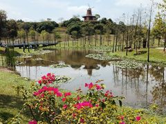 -东莞植物园