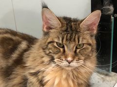 -1013 PET SHOP 宠物商店(近铁城市广场店)