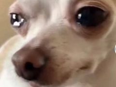 -莆田餐厅PUTIEN(西安万象天地店)