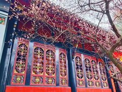 -青羊宫