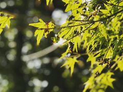 -南通博物苑-崇川人民公园