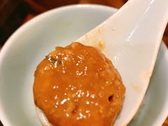 茨毛圆子-双塔老饭店