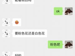 -亦家cake·0卡糖