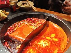 -蜀大侠火锅(建设路第五大道店)
