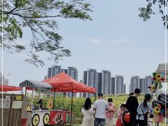 -光明小镇欢乐田园