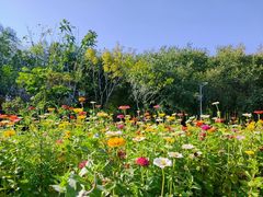 -长春公园(普阳街道)