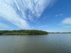 -宁波杭州湾国家湿地公园