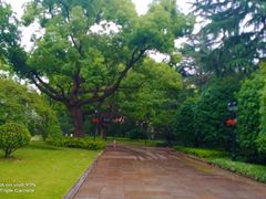 -上海虹桥迎宾馆