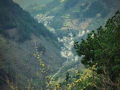-新安江山水画廊风景区