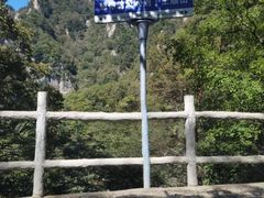 -王顺山国家森林公园