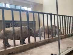 -石家庄市动物园