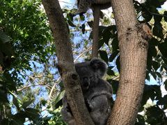 -费瑟代尔野生动物园