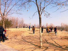 -东郊湿地公园