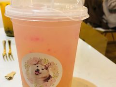 -Husky Go! 哈士奇体验馆·宠物咖啡厅狗咖