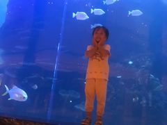 -OPEN開全日自助餐厅·牛肉火锅·海鲜(佛山希尔顿酒店)