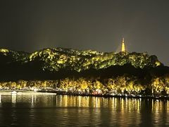 -湖畔居茶楼(湖滨店)