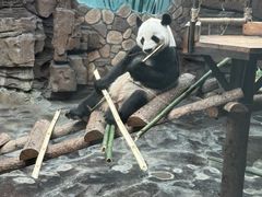 -济南野生动物世界