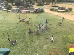 -秦皇岛野生动物园