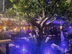 -绿茶餐厅(乐峰广场店)