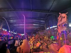 -南京银杏湖乐园