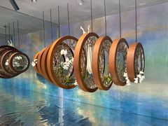 -上海鲜花港