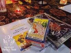 -雪灵魔法世界SHELLY’S TAROT(大良桂畔里店)