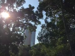 -九龙公园