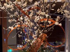 -浅深Cheersum(曹杨店)