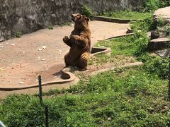-无锡动物园·太湖欢乐园