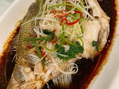 -大鸭梨烤鸭店(古城店)