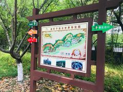 -金钉子远古世界景区