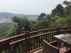 亚龙湾人间天堂-鸟巢度假村-三亚亚龙湾人间天堂鸟巢度假村