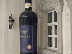 -北京张裕爱斐堡酒庄