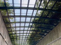 -天鹅湖体育公园