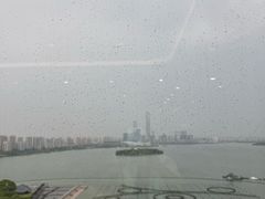 -洄归山也·高空C位湖景下午茶(东方之门店)